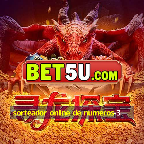 sorteador online de numeros